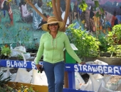Strawberry Mansion Walking Tour
