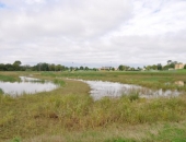 Whitemarsh Tour