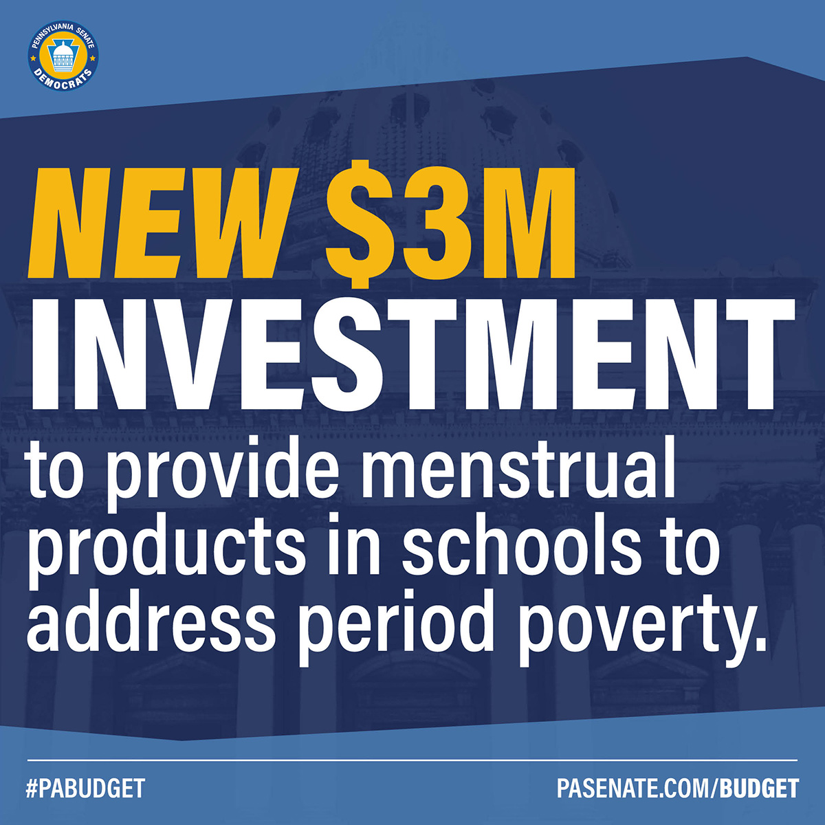 NEW $3M investment to provide menstrual products in schools to address period poverty